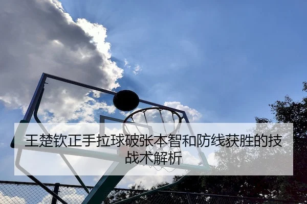 王楚钦正手拉球破张本智和防线获胜的技战术解析 | JY